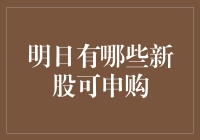 明日新股申购前瞻：把握投资机遇，共探市场潜力