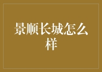 景顺长城基金公司的投资策略与表现探究