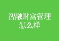 智融财富管理：个性化投资解决方案专家