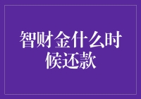 智财金：还款时间选择的艺术与智慧