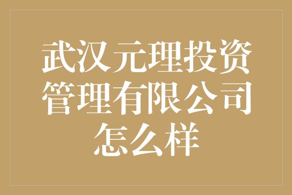 武汉元理投资管理有限公司怎么样