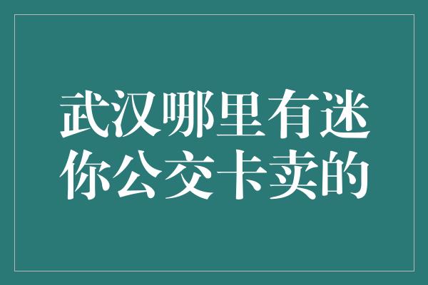 武汉哪里有迷你公交卡卖的