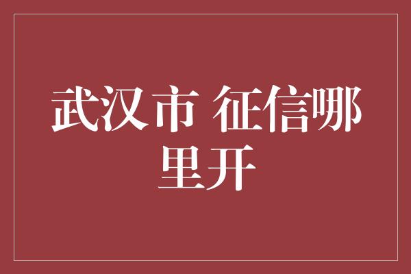 武汉市 征信哪里开