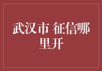 武汉市的征信在哪里开？——解密神秘的开征信之旅