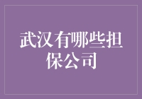 武汉地区主要担保公司一览及行业发展趋势分析