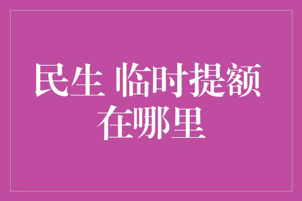 民生 临时提额 在哪里