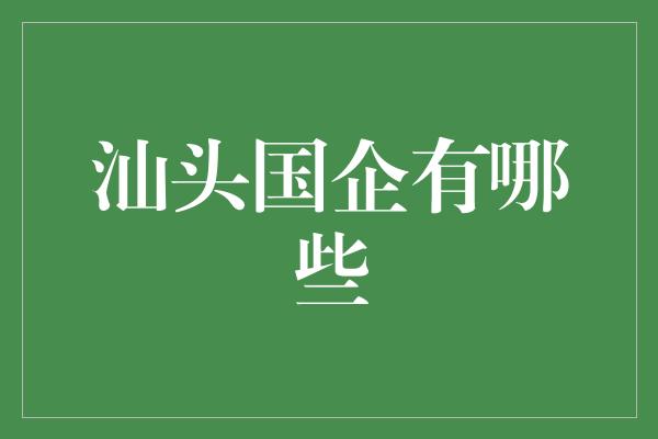 汕头国企有哪些