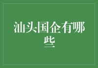 汕头国有企业：地方经济发展的核心力量