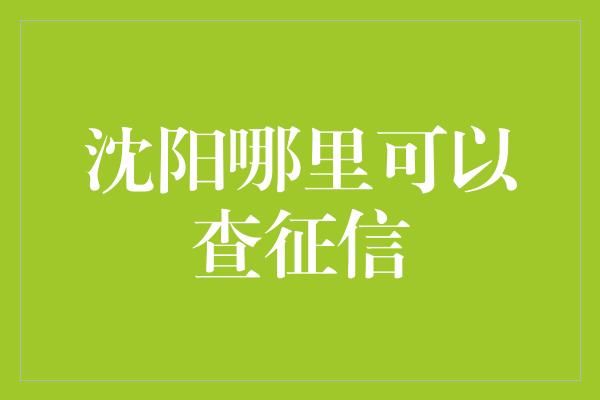 沈阳哪里可以查征信