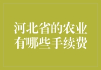 河北省的农业手续费：一场丰收的手续费盛宴