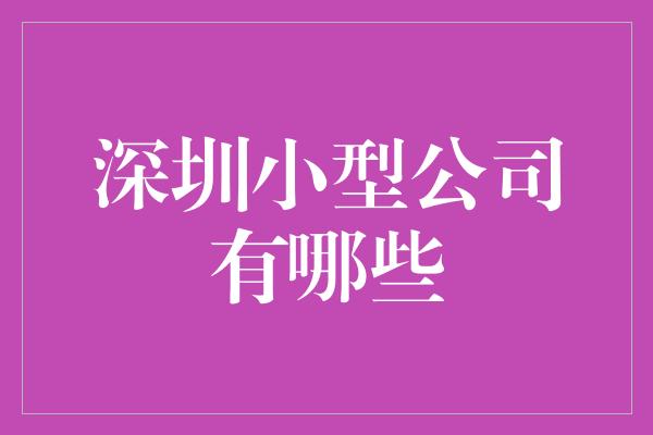 深圳小型公司有哪些