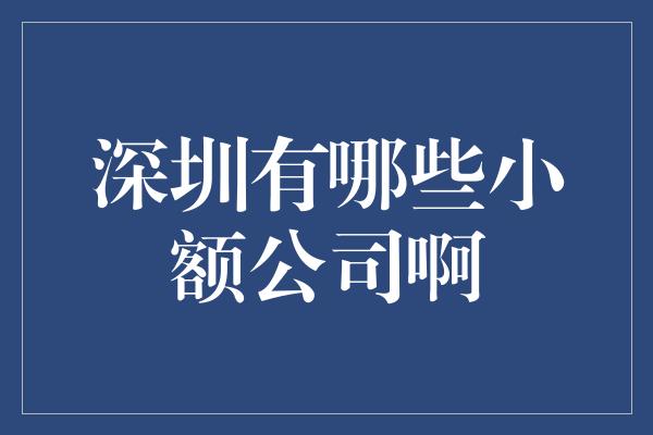 深圳有哪些小额公司啊