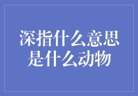 股市风云变幻，深指到底是啥玩意？