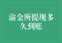 渝金所提现到账时间解析：资深用户经验分享