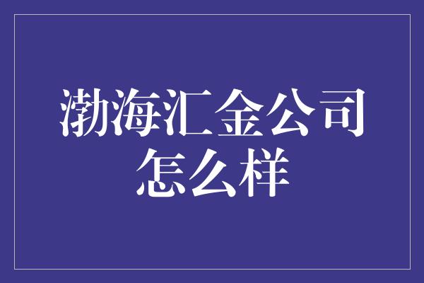 渤海汇金公司怎么样