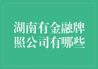 湖南金融牌照公司概览：引领地方金融新篇章