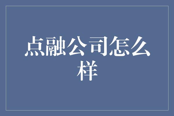 点融公司怎么样