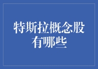 特斯拉概念股：一场现代版的西天取经之旅