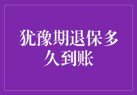 犹豫期退保多久到账：解析保险犹豫期退保流程与到账时间