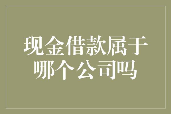 现金借款属于哪个公司吗