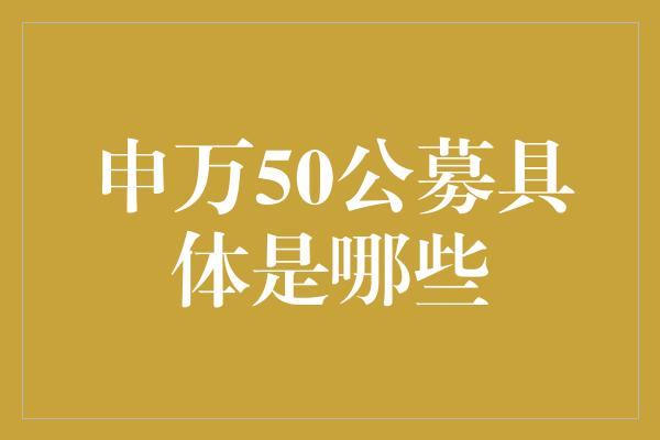 申万50公募具体是哪些