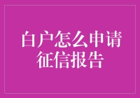 白户如何申请个人征信报告：步骤详解与实用建议