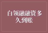 白领融融资渠道：快捷到账，助力企业前行