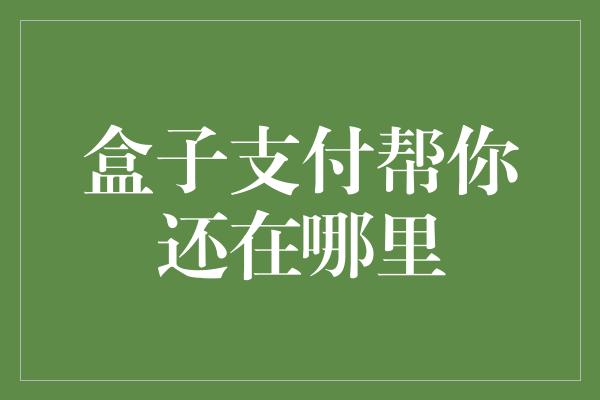 盒子支付帮你还在哪里