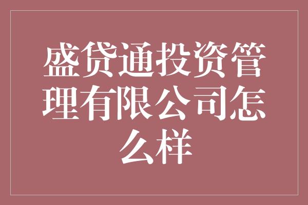 盛贷通投资管理有限公司怎么样