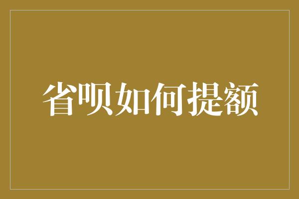 省呗如何提额