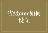 探索省级AMC设立路径：策略与挑战