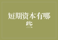 短期资本的多面魅力：灵活应对资本市场的利器