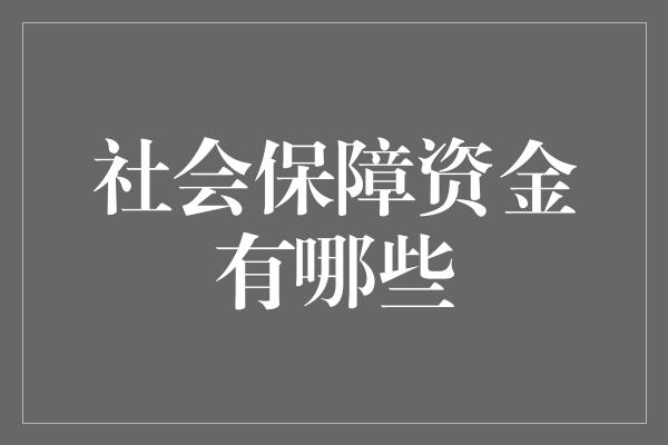 社会保障资金有哪些