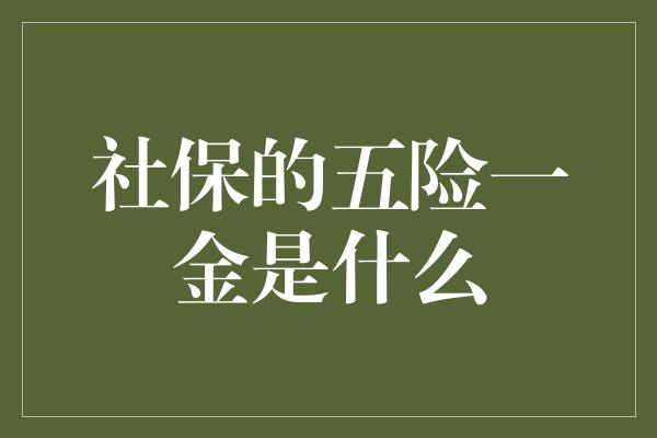 社保的五险一金是什么