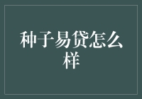 种子易贷：依托大数据风控的互联网金融新秀