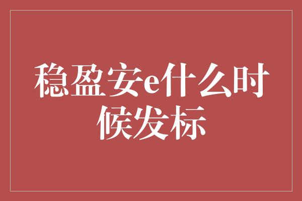 稳盈安e什么时候发标