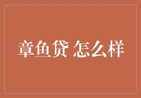 章鱼贷：一款面向中小企业的高效融资平台