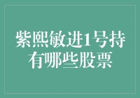 紫熙敏进1号：揭秘其持仓股票及其投资策略