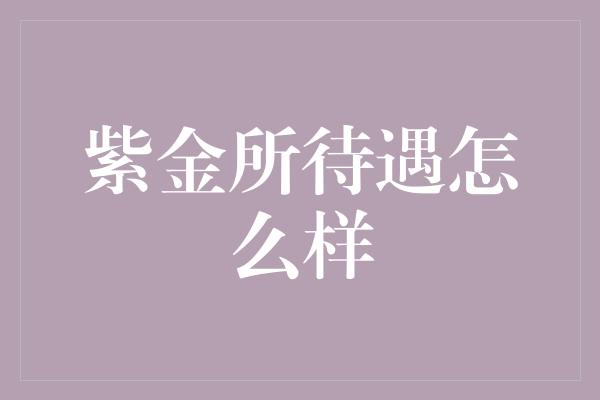 紫金所待遇怎么样