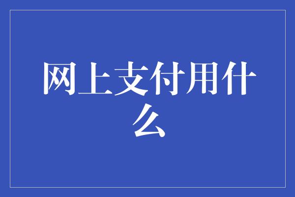 网上支付用什么