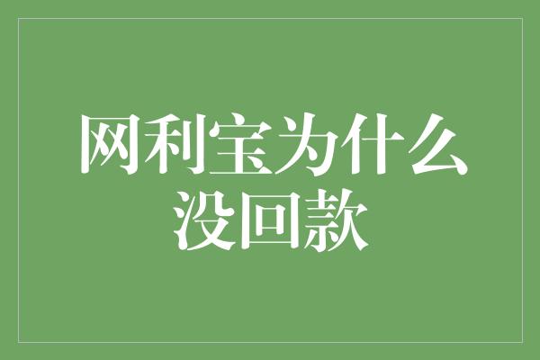 网利宝为什么没回款