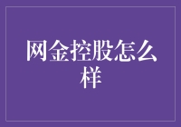 网金控股：互联网金融时代的创新者