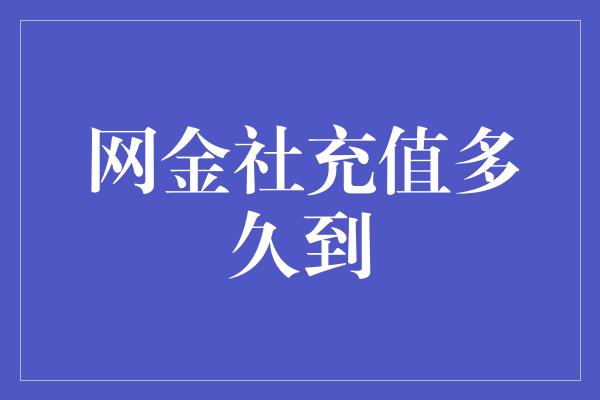 网金社充值多久到