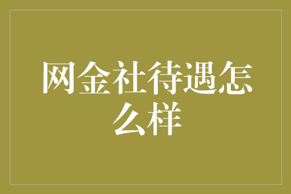 网金社待遇怎么样