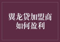 揭秘！翼龙贷加盟商的赚钱秘密