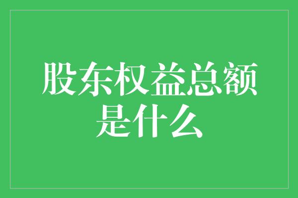 股东权益总额是什么