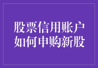 投资新手手册：用股票信用账户申购新股的奇妙旅程