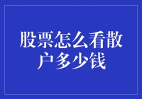 股票怎么看散户的钱包：一场神秘的寻宝之旅