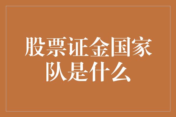 股票证金国家队是什么