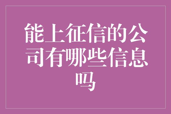 能上征信的公司有哪些信息吗